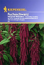 Fuchsschwanz-Samen von Kiepenkerl