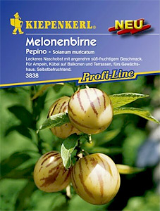 Pepino-Samen (Birnenmelone) <i>Solanum muricatum</i>