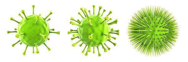 Viren und Bakterien frchten die Autophagie